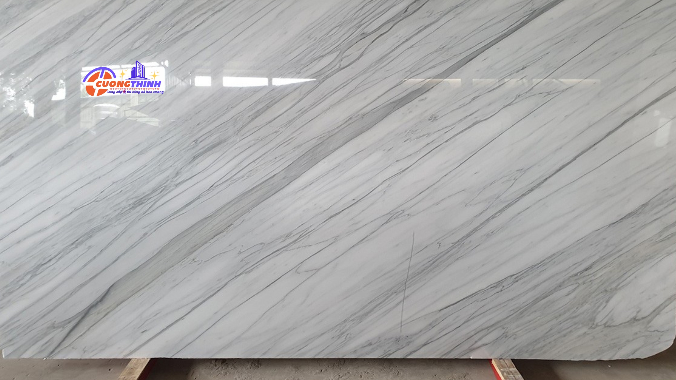 12-statuario-white1