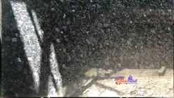 Đá Granite XÀ CỪ ÁNH TÍM (VOLGA-BLUE)